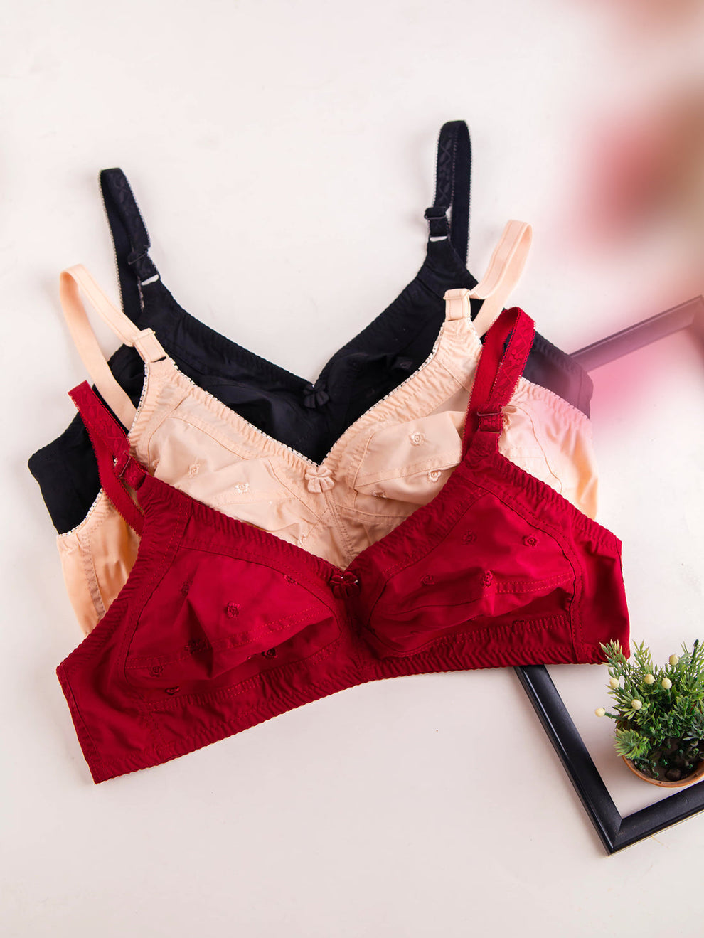 Desire Best summer cotton bra ❤️