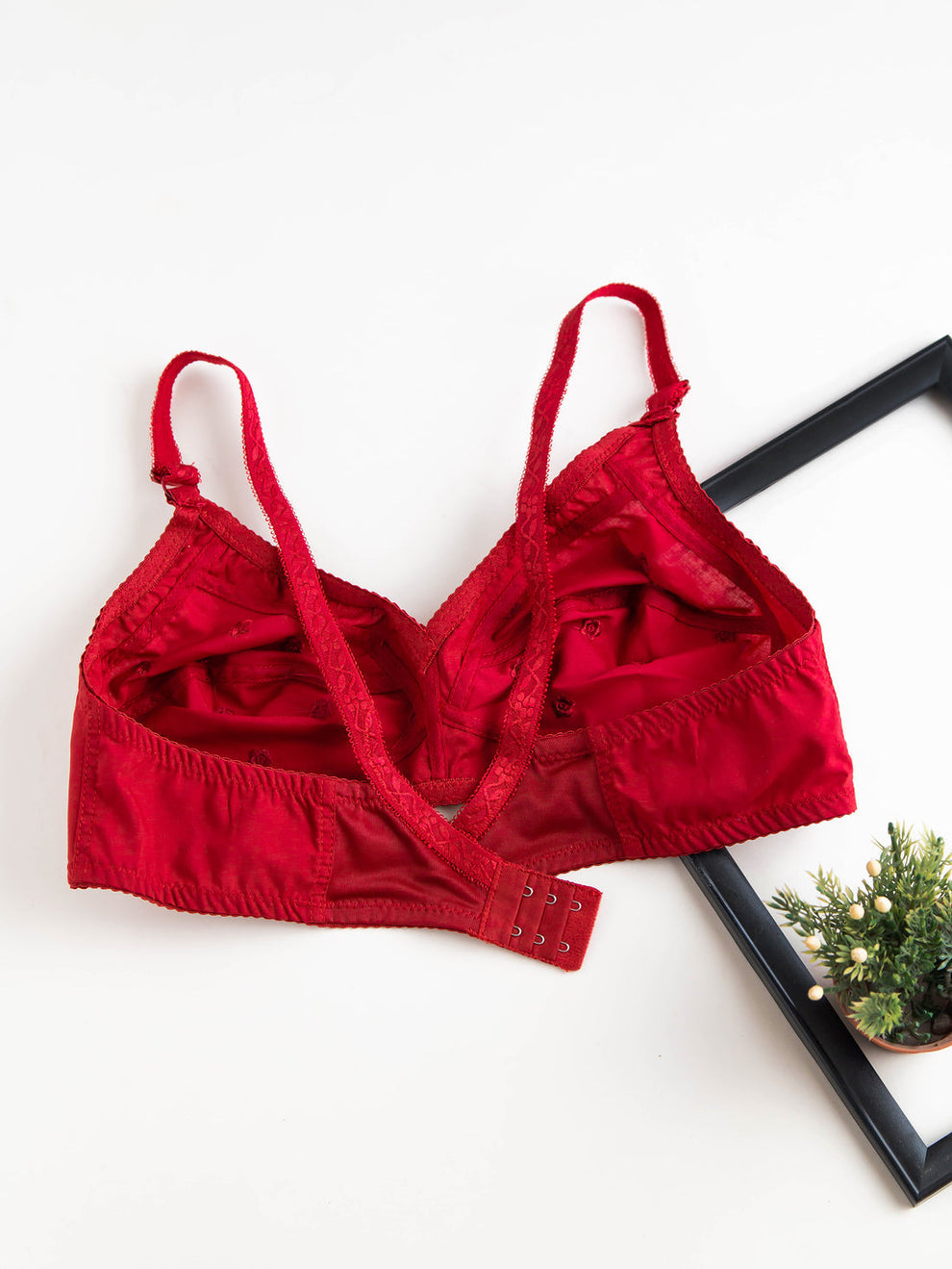 Desire Best summer cotton bra ❤️